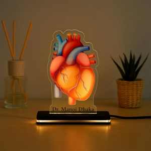 Personalized Anatomical Heart LED Lamp - Custom Doctor Name Light | Valentine's Day Gift